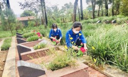 Tuổi trẻ Bảo Lộc tổ chức hoạt động ngày chủ nhật xanh - lần 3/2021