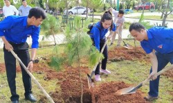 Tuổi trẻ Bảo Lộc tham gia Tết trồng cây đời đời nhớ ơn Bác Hồ